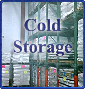 Cold Storage